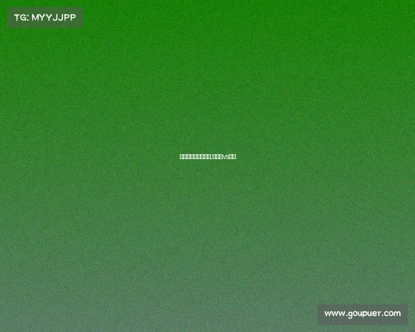 摩洛哥与伊朗的赛事;摩洛哥vs朗斯