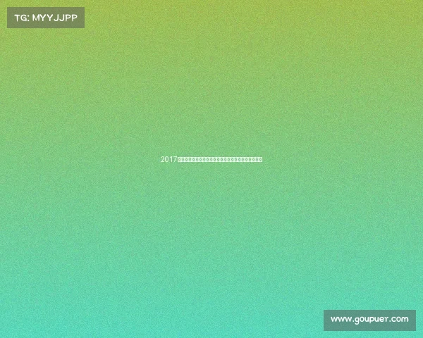 2017年武汉足球赛事全程回顾球员风采球队战绩与社会影响